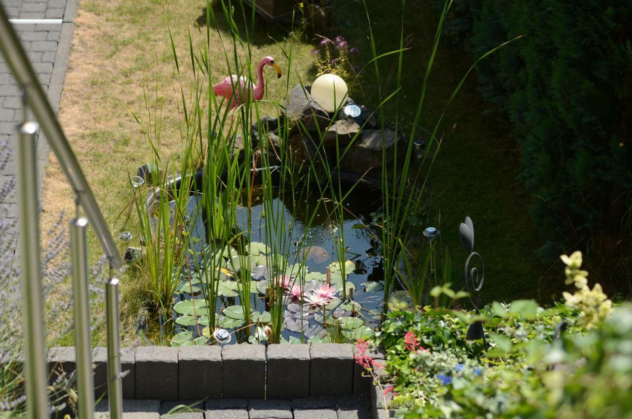 Ferienwohnung Bellerbergblick Ettringen  ภายนอก รูปภาพ